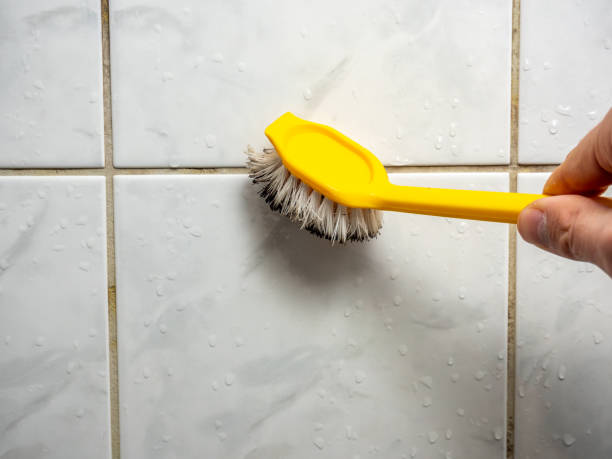 Best Local Mold Removal Service  in Planada, CA