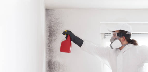 Best Certified Mold Removal  in Planada, CA